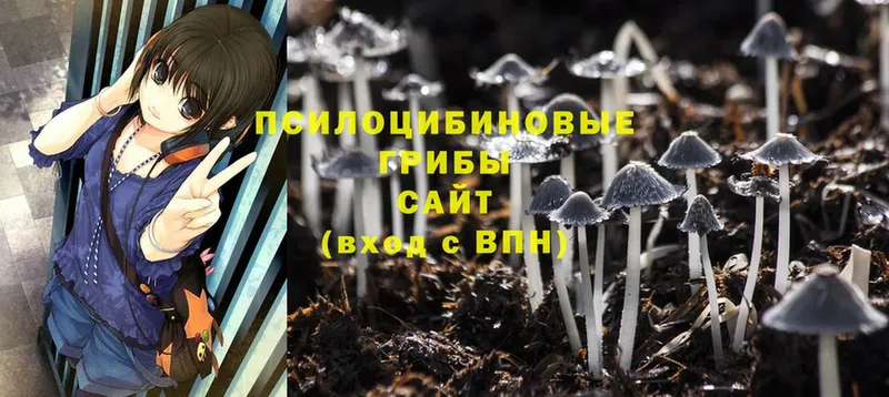 Галлюциногенные грибы Magic Shrooms  ссылка на мегу вход  Ужур 